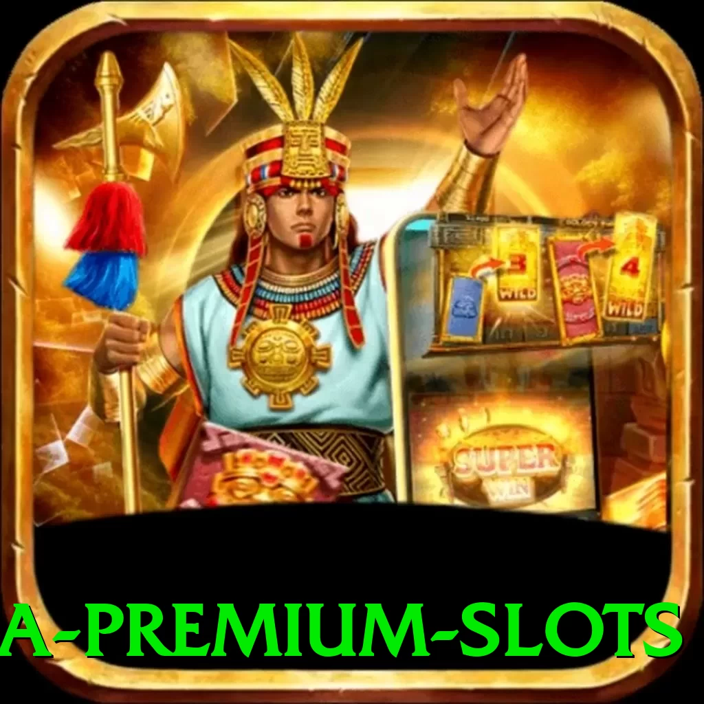 9aa Premium Slots - app