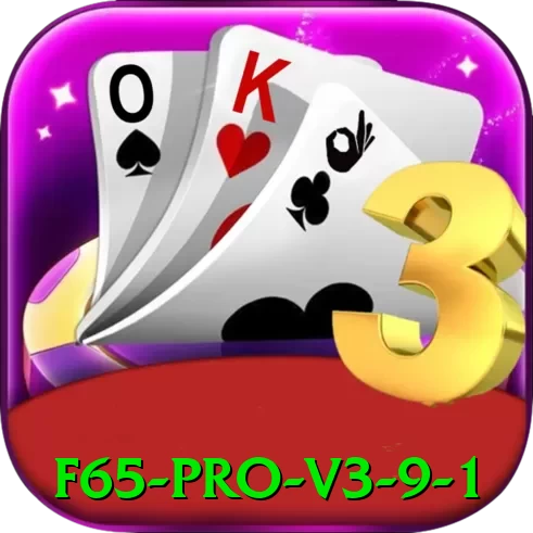 f65 Pro v3.9.1 - pak